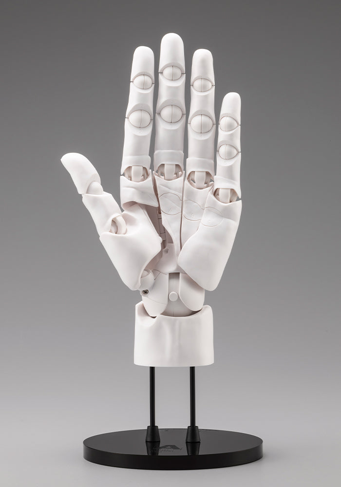 ARTIST SUPPORT ITEM HAND MODEL MEN’S/L -WHITE-