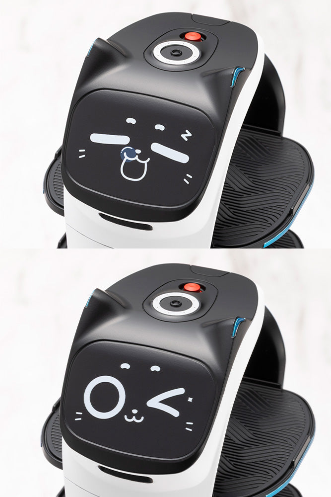 GRANDE SCALE BellaBot