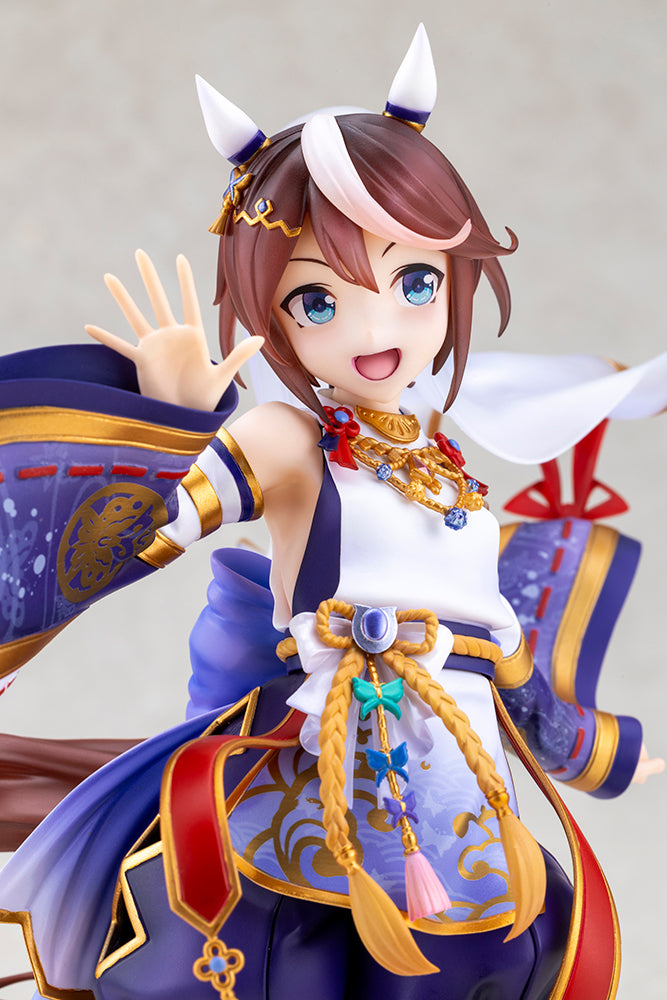 Shiun no Yumemitori Tokai Teio
