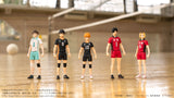 CK-H01 COLLEKAZARO Shoyo Hinata