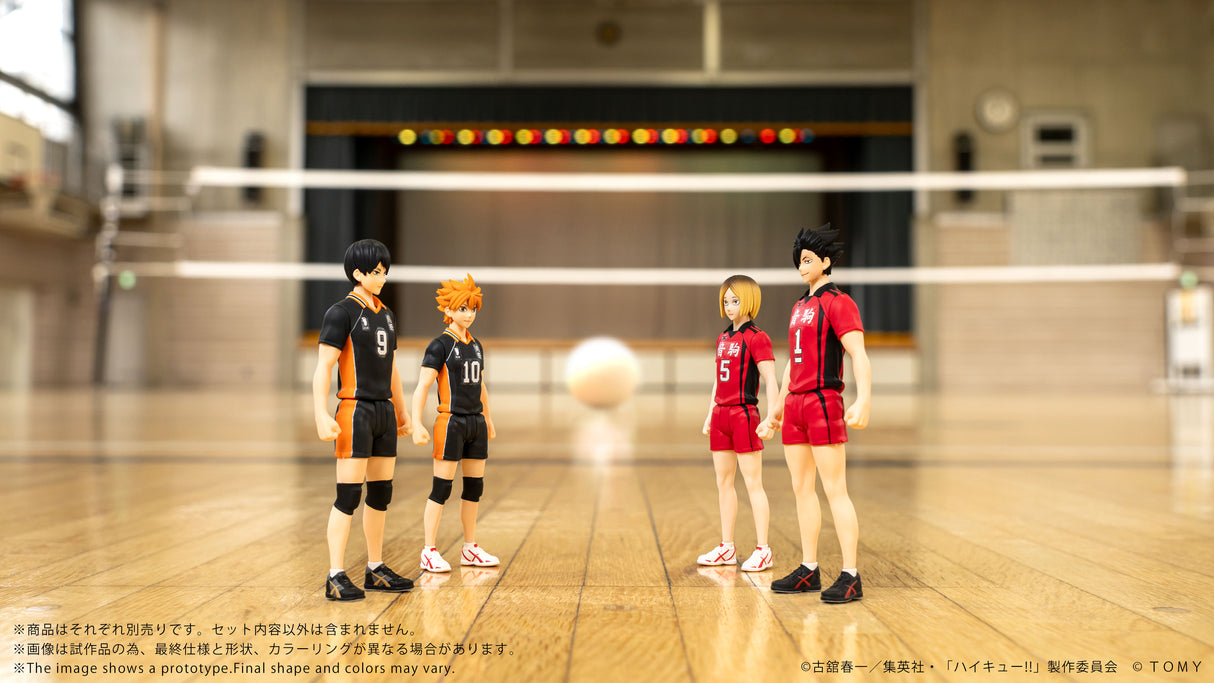 CK-H01 COLLEKAZARO Shoyo Hinata