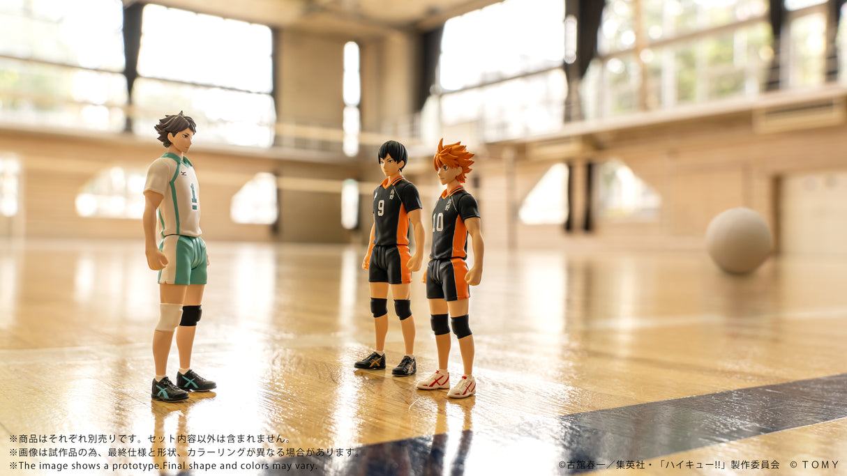 CK-H01 COLLEKAZARO Shoyo Hinata