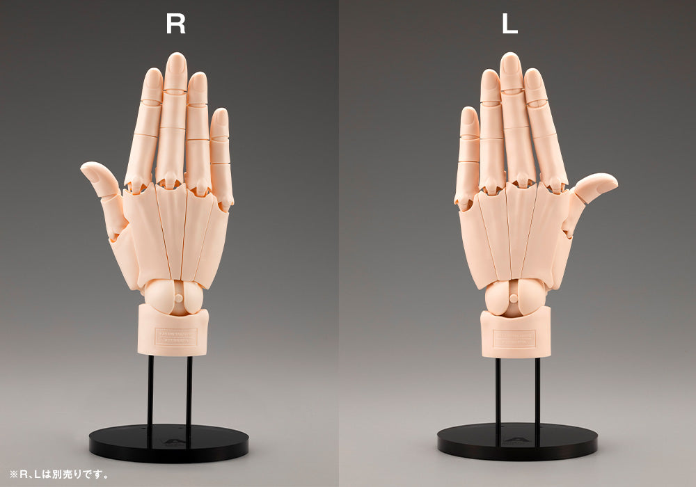 ARTIST SUPPORT ITEM HAND MODEL/R -PALE ORANGE- – KOTOBUKIYA US ONLINE