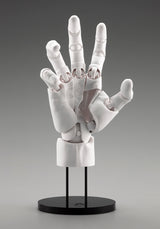 ARTIST SUPPORT ITEM HAND MODEL MEN’S/R -WHITE-