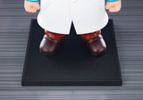 DR. WILY & DR. LIGHT OSHI WORKS