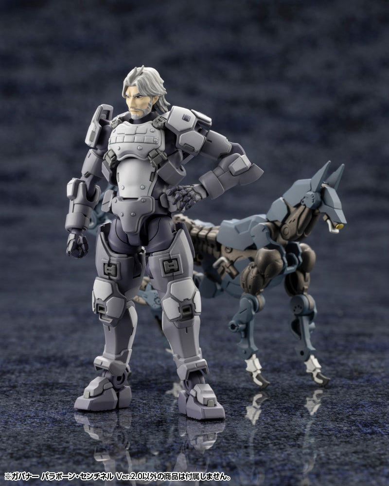 GOVERNOR PARA-PAWN SENTINEL Ver.2.0