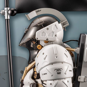 LUDENS