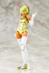 B1R-M CHASSIS KIT SKIN COLOR E