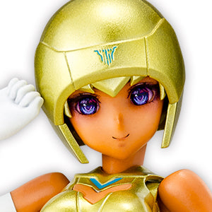 B1R-M CHASSIS KIT SKIN COLOR E