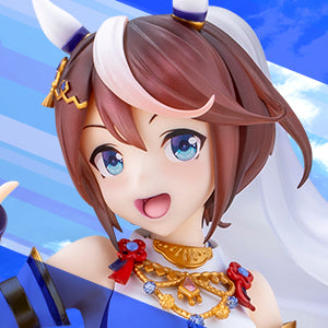 Shiun no Yumemitori Tokai Teio